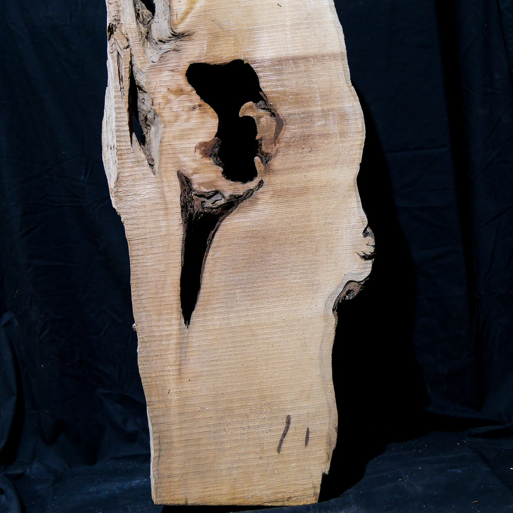 Tasmanian Timber Slabs | Tasmanian Timber | East Coast Specialised Timbers